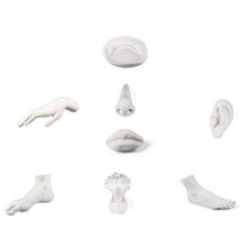 Load image into Gallery viewer, Memorabilia Museum Male Body Part Ornament