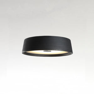 Soho Ceiling Light