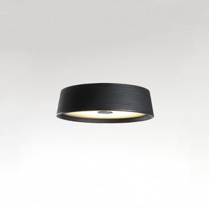 Soho Ceiling Light