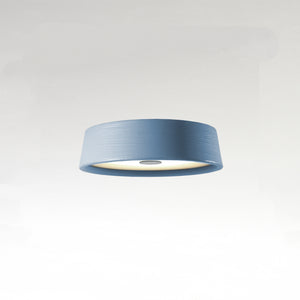 Soho Ceiling Light