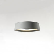 Load image into Gallery viewer, Soho Ceiling Light