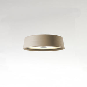 Soho Ceiling Light